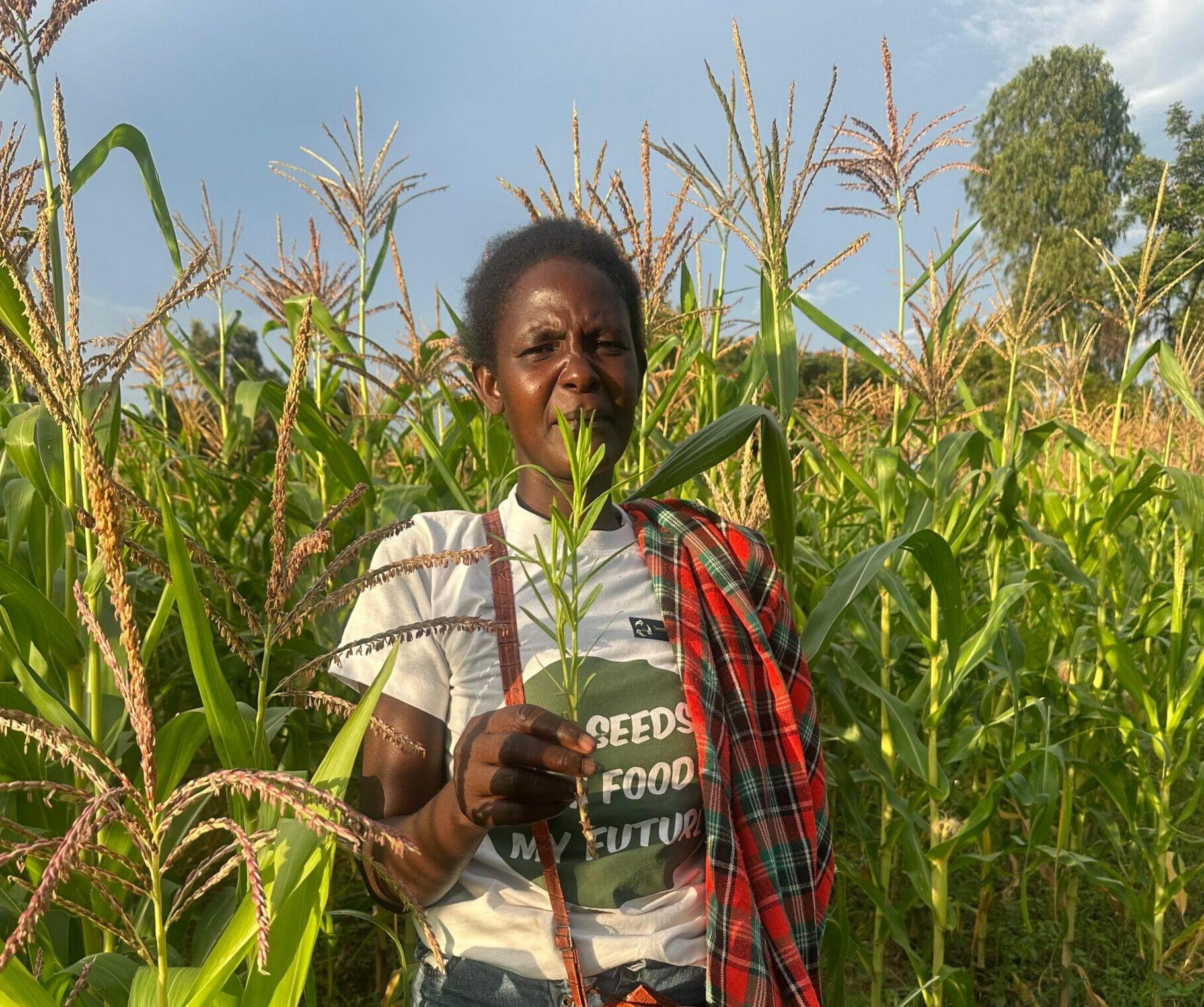 Localising Resilience in Africa: Communities Leading the Way